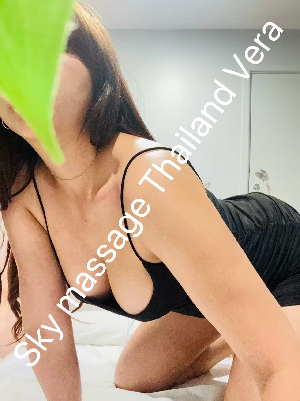 Vera
